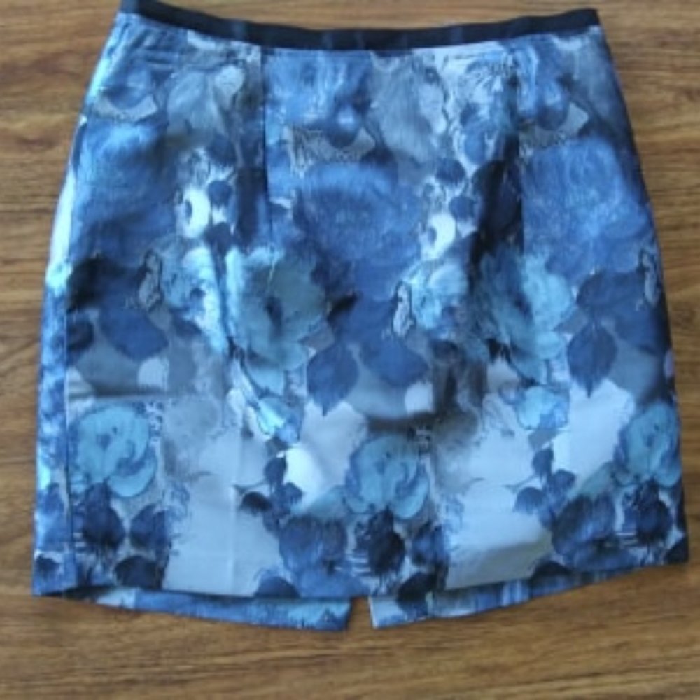 Beautiful Skirt with Blue Roses